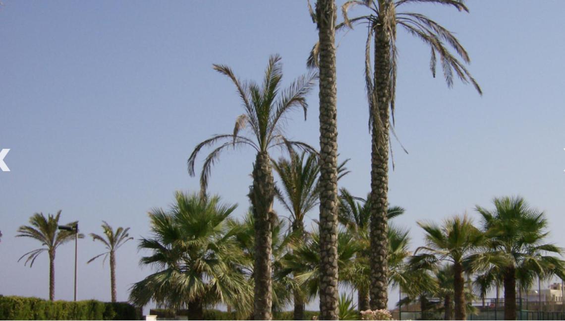 Atico En Primera Linea De Playa Faro Apartman Garrucha Kültér fotó